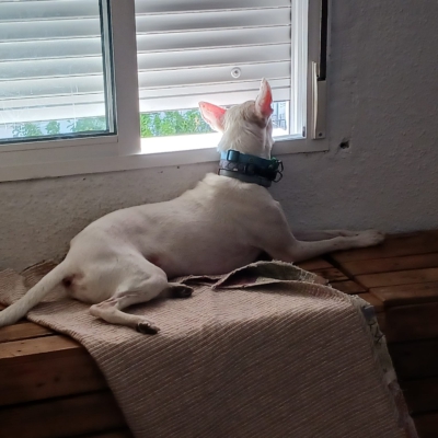 PHOTO-2026-01-21-19-31-50 19