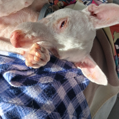 PHOTO-2026-01-21-19-31-50 3