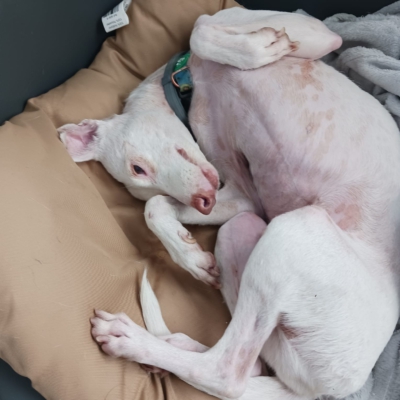 PHOTO-2026-01-21-19-31-50