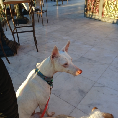 PHOTO-2026-01-21-19-31-50 6