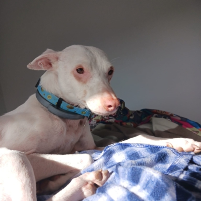 PHOTO-2026-01-21-19-31-50 7