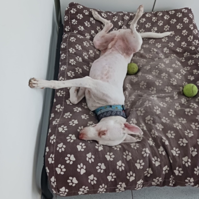 PHOTO-2026-01-21-19-31-50 9