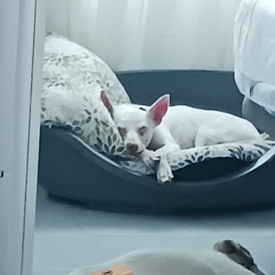 PHOTO-2026-01-21-19-31-51 2