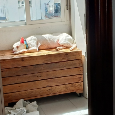 PHOTO-2026-01-21-19-31-51 3