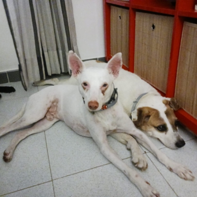 PHOTO-2026-01-21-19-31-51