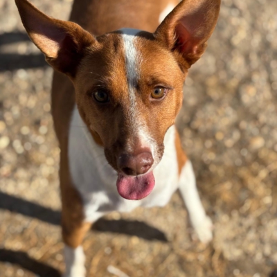 PHOTO-2026-01-22-13-23-31 2