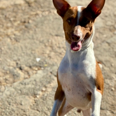 PHOTO-2026-01-22-13-23-31 3