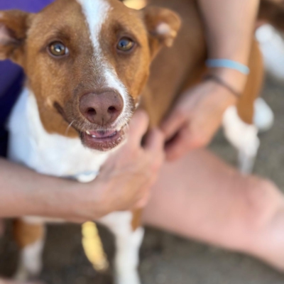 PHOTO-2026-01-22-13-23-32