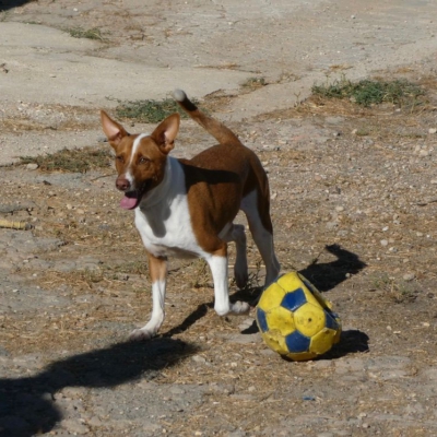 PHOTO-2026-01-22-13-27-08 2