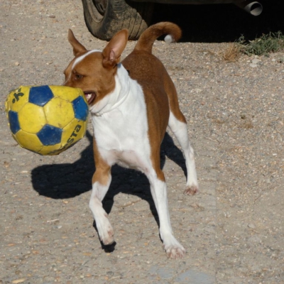 PHOTO-2026-01-22-13-27-08 3