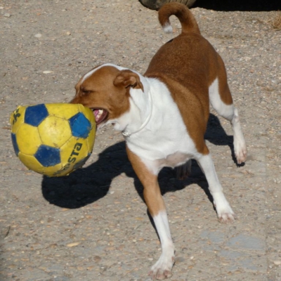 PHOTO-2026-01-22-13-27-08 4