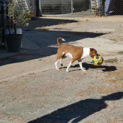 PHOTO-2026-01-22-13-27-08