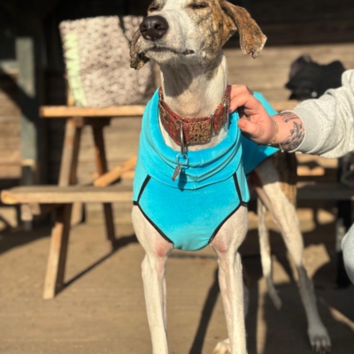 PHOTO-2026-01-24-21-01-01 10