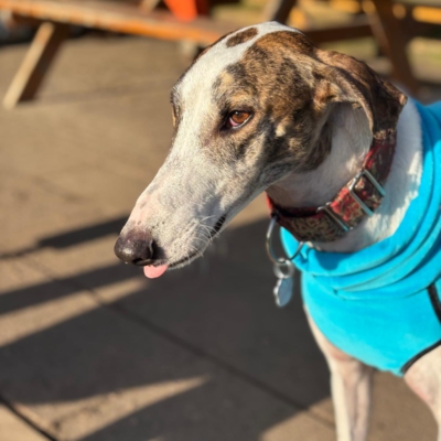 PHOTO-2026-01-24-21-01-01 12