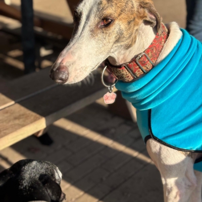 PHOTO-2026-01-24-21-01-01