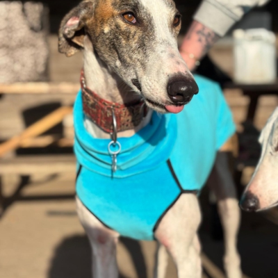 PHOTO-2026-01-24-21-01-01 5