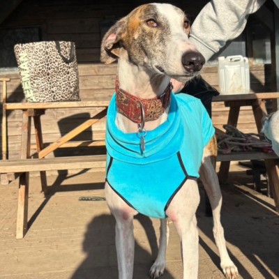 PHOTO-2026-01-24-21-01-01 6