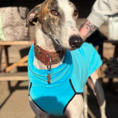 PHOTO-2026-01-24-21-01-01 7