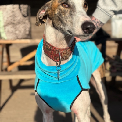 PHOTO-2026-01-24-21-01-01 8