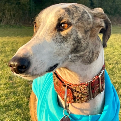 PHOTO-2026-01-24-21-22-06 3