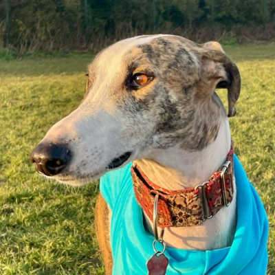 PHOTO-2026-01-24-21-22-06 4