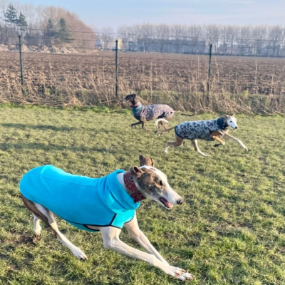 PHOTO-2026-01-24-21-22-06