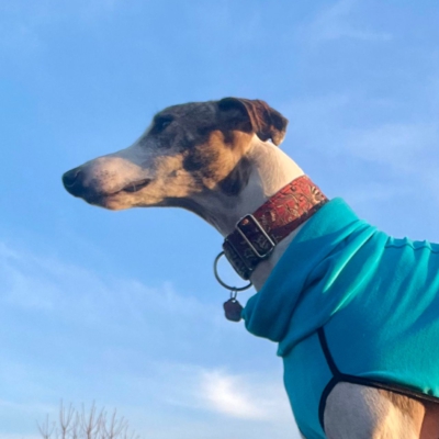 PHOTO-2026-01-24-21-22-06 5