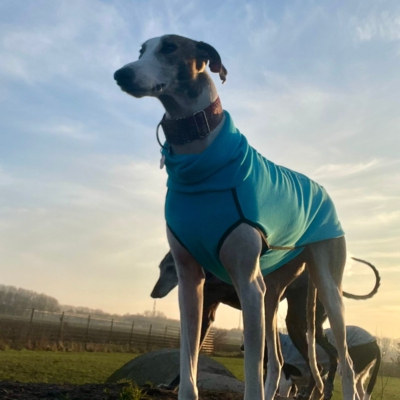 PHOTO-2026-01-24-21-22-06 7