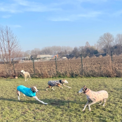 PHOTO-2026-01-24-21-22-06 8