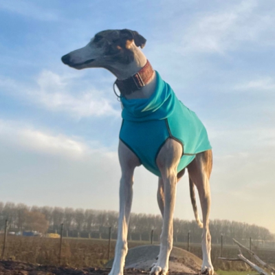 PHOTO-2026-01-24-21-22-06 9