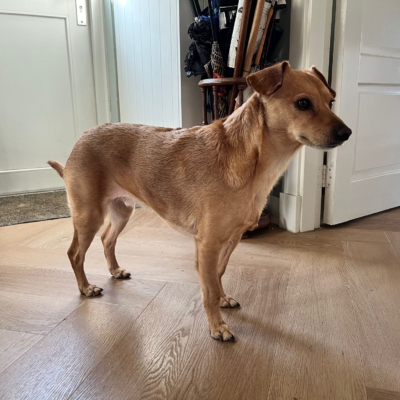 PHOTO-2026-01-26-12-35-55 2