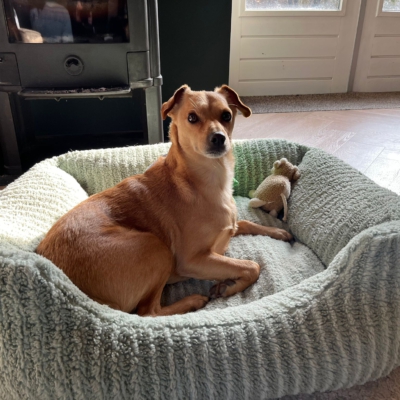 PHOTO-2026-01-26-12-35-55 3