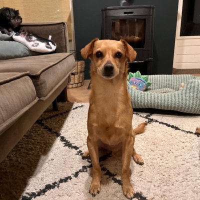 PHOTO-2026-01-26-12-35-55 4