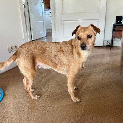 PHOTO-2026-01-26-12-35-55