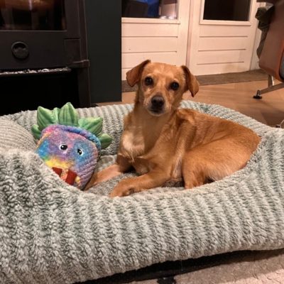 PHOTO-2026-01-26-12-35-55 5