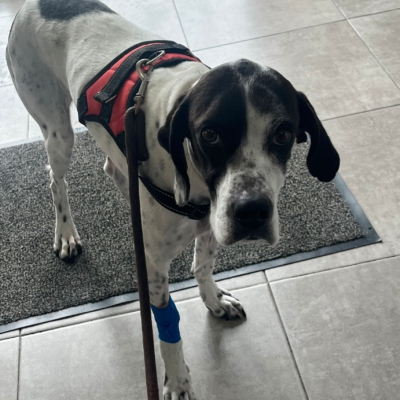 PHOTO-2026-01-26-20-12-25