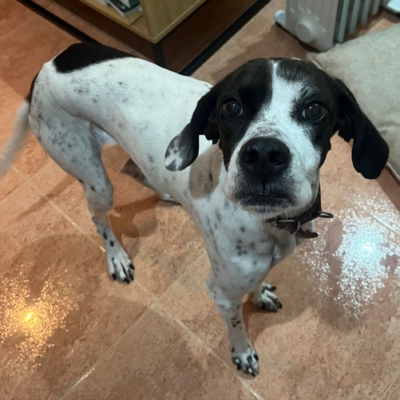 PHOTO-2026-01-26-20-13-21 2