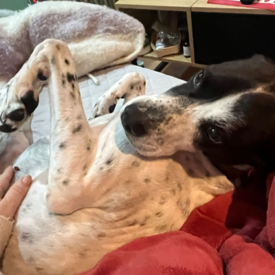 PHOTO-2026-01-26-20-14-23