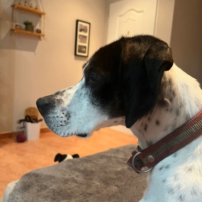 PHOTO-2026-01-26-20-14-24 2