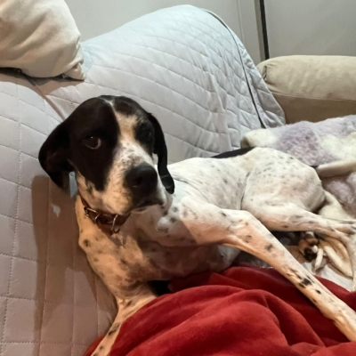 PHOTO-2026-01-26-20-14-24