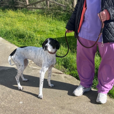 PHOTO-2026-01-26-20-14-53