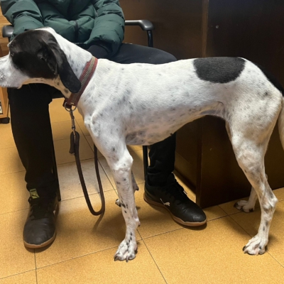 PHOTO-2026-01-26-20-15-30