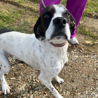 PHOTO-2026-01-26-20-16-36 2