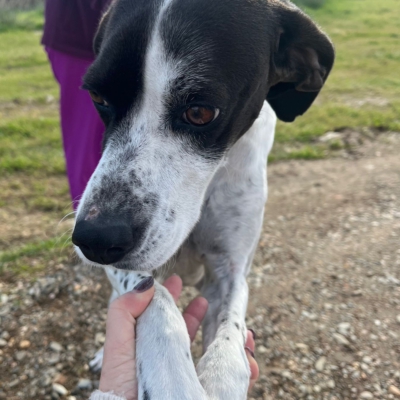 PHOTO-2026-01-26-20-16-36 3