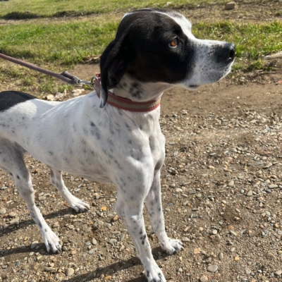 PHOTO-2026-01-26-20-16-36 4