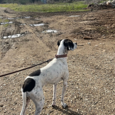 PHOTO-2026-01-26-20-16-36