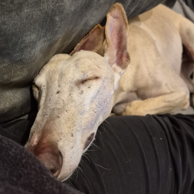 PHOTO-2026-01-28-21-43-38 2