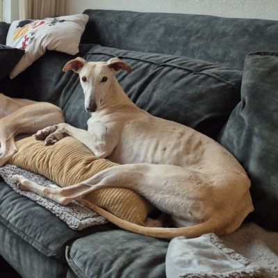 PHOTO-2026-01-28-21-43-38 3