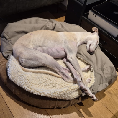 PHOTO-2026-01-28-21-43-38