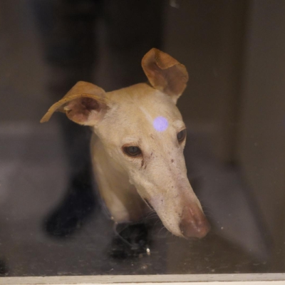 PHOTO-2026-01-31-09-41-41 2